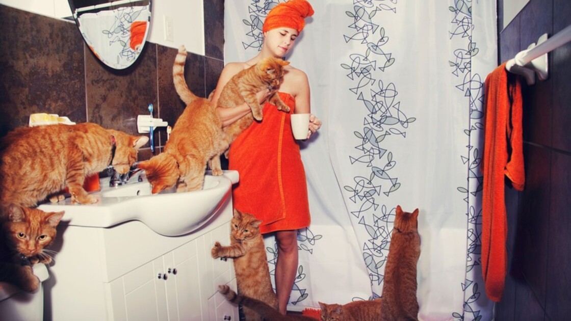 C Est Quoi Un Amoureux Des Chats La Reponse En Photos Neonmag Fr